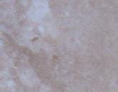 商業(yè)PVC0802